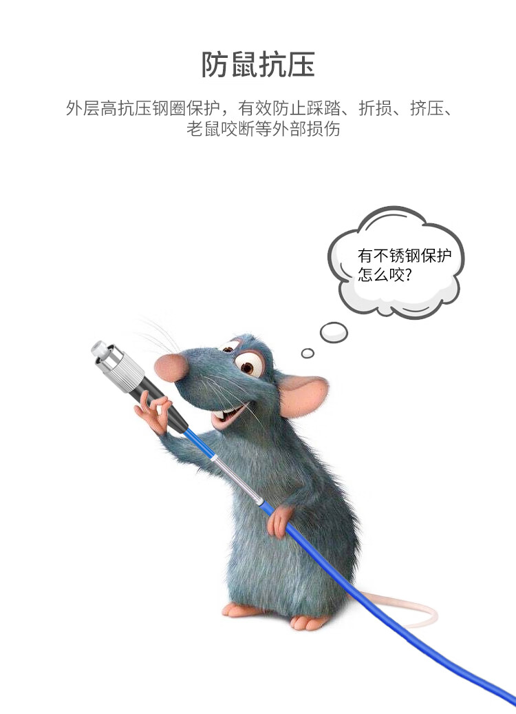 铠装防鼠咬光纤跳线 电信级单模单芯尾纤FC-FC跳纤 9/125_https://www.haile-cn.com_布线产品_第10张