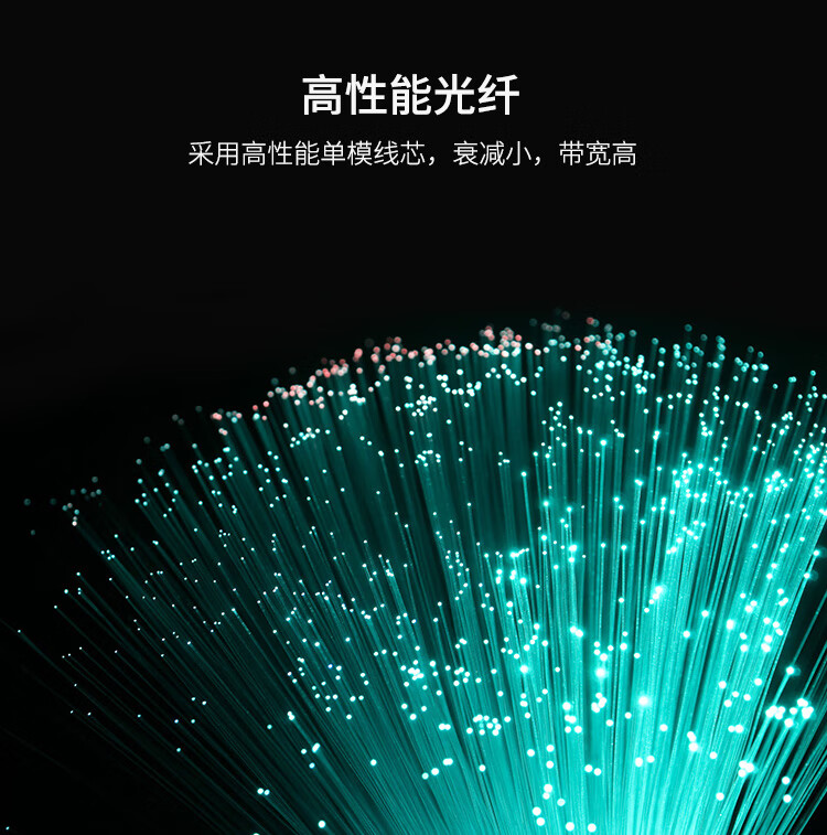铠装防鼠咬光纤跳线 电信级单模单芯尾纤FC-FC跳纤 9/125_https://www.haile-cn.com_布线产品_第8张