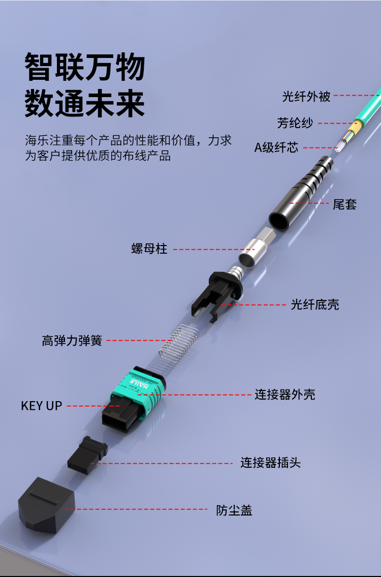 MPO-MPO光纤跳线24芯电信级40/100G万兆多模OM3母头B极性_https://www.haile-cn.com_MPO光纤跳线_第3张