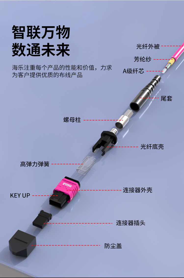 MPO-MPO光纤跳线24芯电信级40/100G万兆多模OM4母头B极性_https://www.haile-cn.com_MPO光纤跳线_第3张